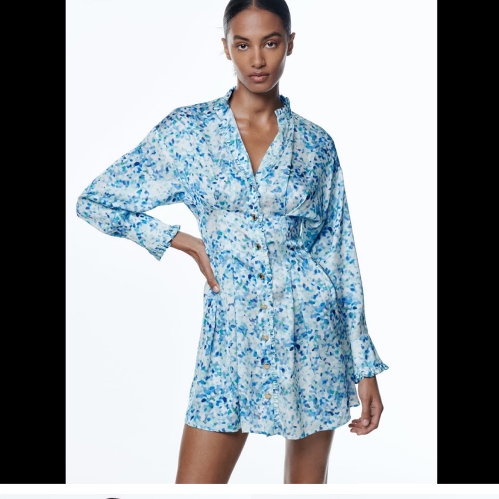 NWT Zara Floral Shirt Dress